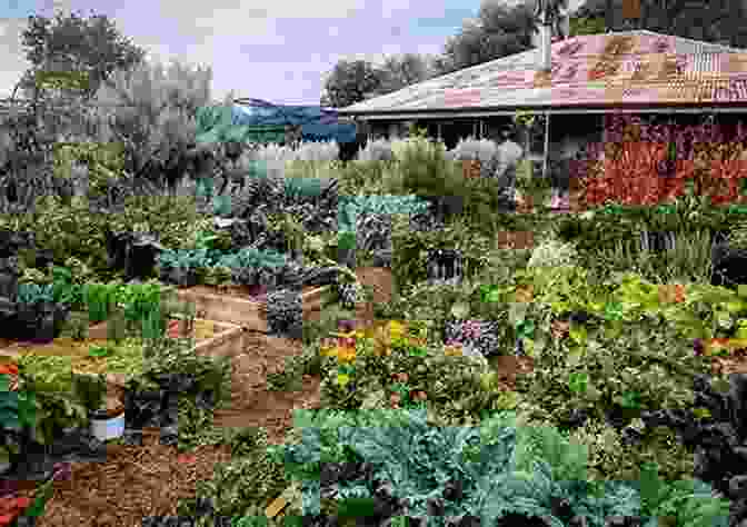 A Lush Permaculture Garden With Diverse Plant Species And Organic Farming Techniques. Zen For Druids: A Further Guide To Integration Compassion And Harmony With Nature