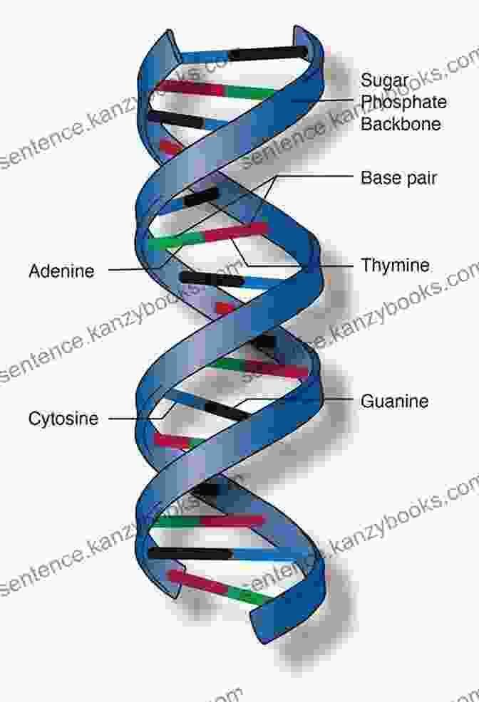 A Swirling Double Helix Representing The Human Genome Curiosity Guides: The Human Genome