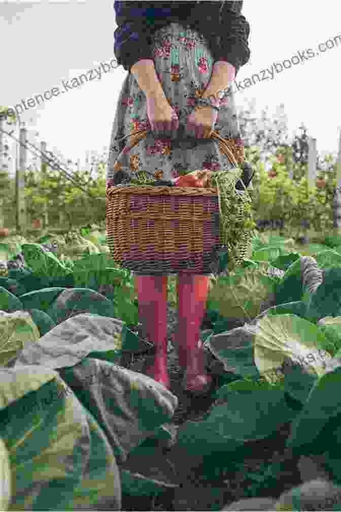 A Woman Holding A Basket Of Fresh Herbs, Surrounded By Medicinal Plants In A Lush Garden Setting The Woman S Herbal Apothecary: 200 Natural Remedies For Healing Hormone Balance Beauty And Longevity And Creating Calm