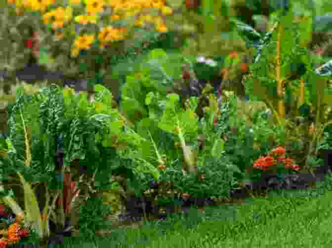 Assortment Of Vegetables, Herbs, And Flowers Suitable For Raised Bed Gardening Raised Bed Gardening: Create Your Personal Raised Bed Garden