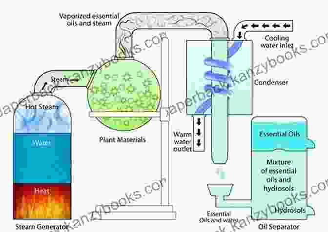 Essential Oil Extraction Process ESSENTIAL OILS BOX SET#7: Top Essential Oil Recipes The Best Secrets Of Natural Remedies