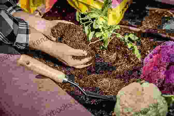 Gardeners Mixing And Preparing Soil In A Raised Bed Raised Bed Gardening: Create Your Personal Raised Bed Garden