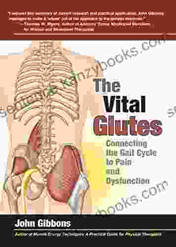 The Vital Glutes: Connecting The Gait Cycle To Pain And Dysfunction