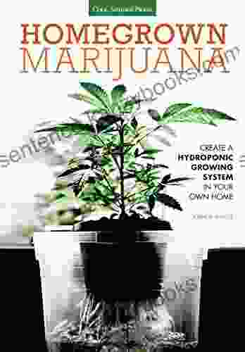 Homegrown Marijuana: Create A Hydroponic Growing System In Your Own Home