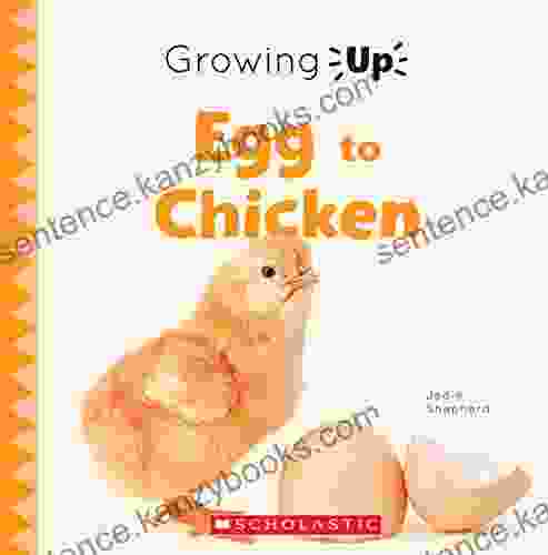 Egg To Chicken (Growing Up) (Explore The Life Cycle )