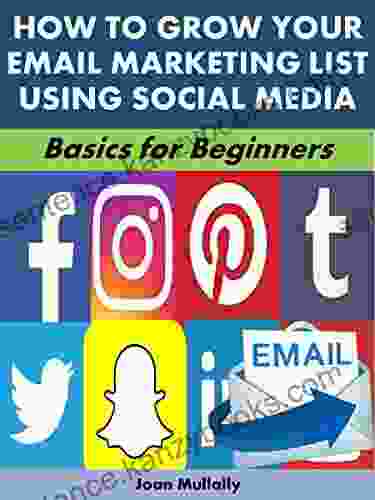 How To Grow Your Email Marketing List Using Social Media: Basics For Beginners (Business Basics For Beginners 68)