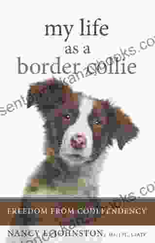 My Life As A Border Collie: Freedom From Codependency