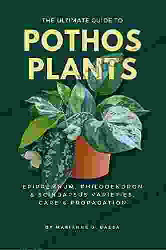 The Ultimate Guide to Pothos Plants: Epipremnum Philodendron Scindapsus Varieties Care Propagation