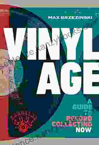 Vinyl Age: A Guide To Record Collecting Now