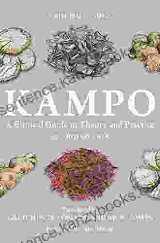 Kampo: A Clinical Guide To Theory And Practice Second Edition