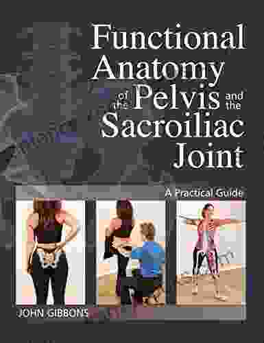 Functional Anatomy Of The Pelvis And The Sacroiliac Joint: A Practical Guide