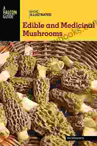 Basic Illustrated Edible And Medicinal Mushrooms (Basic Illustrated Series)